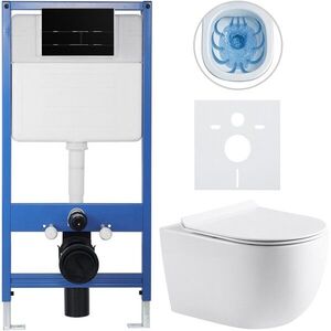 CERANO Kompletní WC set Profi/Felci bílá lesklá WC tlačítko Line/Černá lesklá předstěnová instalace 52, 5x36 CER-8050BD84325 obraz