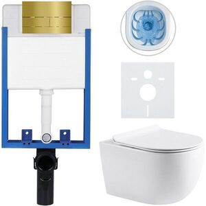 CERANO Kompletní WC set Profi/Felci bílá lesklá WC tlačítko Line/Zlatá pro zazdění 52, 5x36 CER-8050BD84330 obraz