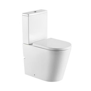 WC kombi komplet SAT Brevis včetně prkénka softclose, vario odpad SATBRE031RREXVPSN SATBRE031RREXVPSN obraz