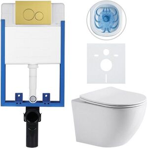 CERANO Kompletní WC set Profi/Cesso bílá lesklá WC tlačítko Duo/Zlatá pro zazdění 49x36 CER-8050BD84212 obraz
