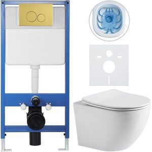 CERANO Kompletní WC set Profi/Cesso bílá lesklá WC tlačítko Duo/Zlatá předstěnová instalace 49x36 CER-8050BD84213 obraz