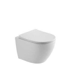 WC s prkénkem softclose závěsné SAT Ergo zadní odpad SATERG3 SATERG3 obraz
