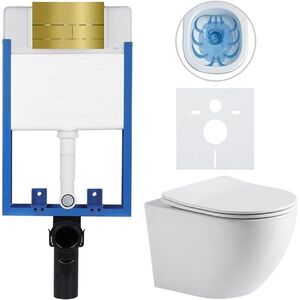 CERANO Kompletní WC set Profi/Cesso bílá lesklá WC tlačítko Line/Zlatá pro zazdění 49x36 CER-8050BD84244 obraz
