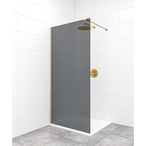 Sprchová zástěna walk-in 100 cm SAT Walk-In SATBWI100KSPRMO SATBWI100KSPRMO obraz
