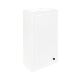 Koupelnová skříňka nízká Naturel Forli 40x78, 5x22 cm bílá FORLIN40BI FORLIN40BI obraz