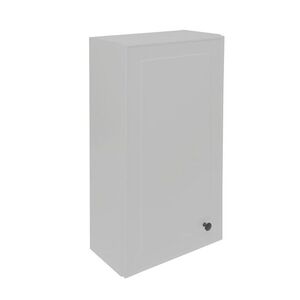 Koupelnová skříňka nízká Naturel Forli 40x78, 5x22 cm šedá mat FORLIN40GM FORLIN40GM obraz