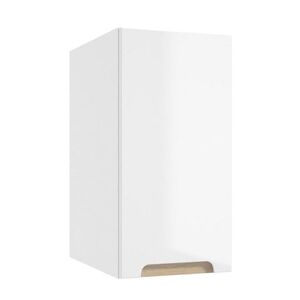 Koupelnová skříňka Naturel Stilla 30x60x45 cm bílá STILLAA03001 STILLAA03001 obraz