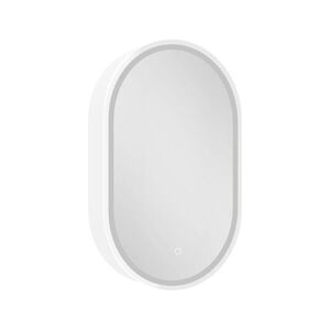 Zrcadlová skříňka s osvětlením SAT 50x80 cm kov SATZGALED5080BI SATZGALED5080BI obraz
