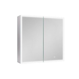 Zrcadlová skříňka s osvětlením SAT 60x60 cm kov hliník SATZGALED6060AL SATZGALED6060AL obraz