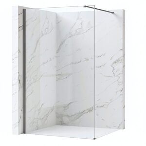 REA/S Sprchová zástěna Flexi Transparent / Titan 100 KPL-K99462 obraz