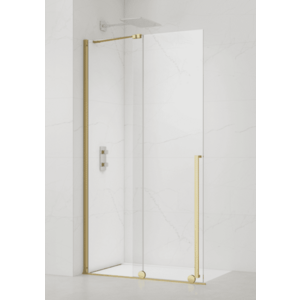 Sprchová zástěna walk-in 140 cm SAT Xmotion SATBWIXM140Z SATBWIXM140Z obraz