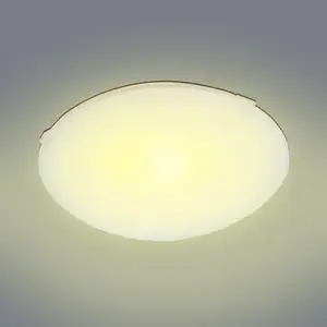 Stropní svítidlo Glass 250Y Clear D25 PL1 obraz