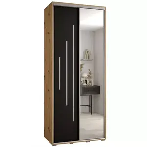 Šatní skříň 45 Canaris 13 100 artisan/černá/silver obraz