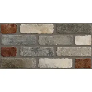 Dlažba Brick Multicolor Cromo 31/62 obraz