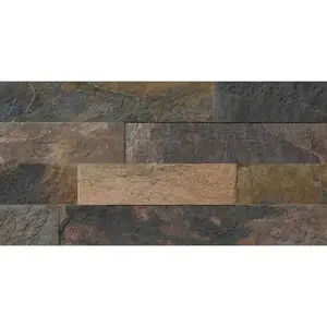 Dlažba Ardesia Metal Mix 31/62 obraz