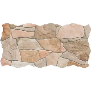 Dlažba Piedra Natural 23/46 obraz