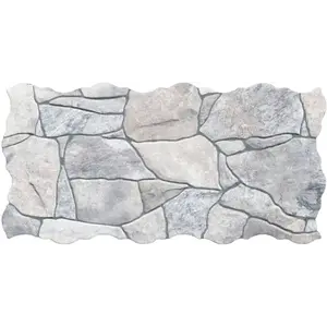 Dlažba Piedra Gris 23/46 obraz