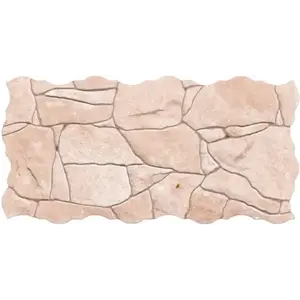 Dlažba Piedra Beige 23/46 obraz