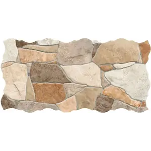 Dlažba Piedra Mix 23/46 obraz