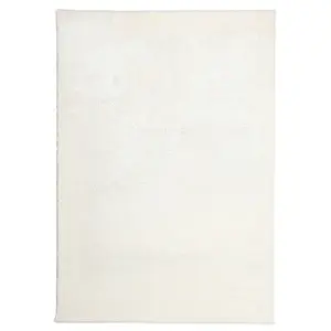 Koberec Shaggy Microfiber RS-BSR 1, 6/2, 3 krémový obraz