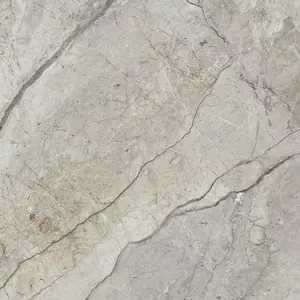 Dlažba Skyfall Grey 60/60 obraz