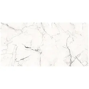 Dlažba E-ME-SVPL 6054(425) Glossy 60/120 obraz