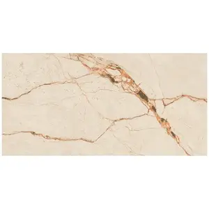 Dlažba Desert Vein Ivory Carving 60/120 obraz