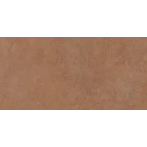 Dlažba Essenza Rust 60/120 obraz