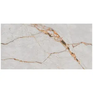 Dlažba Desert Vein Grey Carving 60/120 obraz