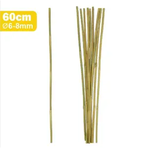 Bambusová tyč 60 cm fi 06/08mm obraz