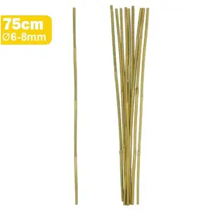Bambusová tyč 75 cm fi 06/08mm obraz