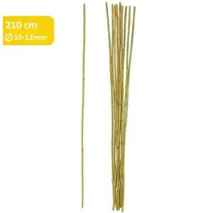 Bambusová tyč 210 cm fi 10/12mm obraz