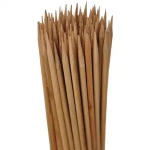 Bambusová tyčka špičatá 50cm fi 5mm natur obraz