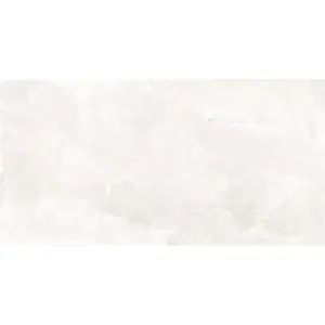 Dlažba Rock White Mat 60/120 obraz