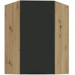 Kuchyňská skříňka Aria-BL/AR anti fingerprint 60x60 GN-90 1F (45°) obraz