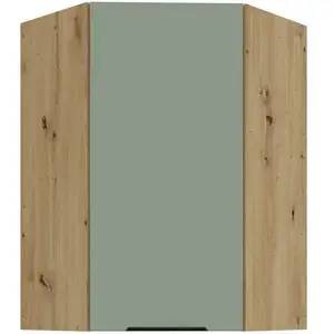 Kuchyňská skříňka Aria-SA/AR anti fingerprint 60x60 GN-90 1F (45°) obraz