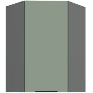 Kuchyňská skříňka Aria-SA/ANT anti fingerprint 60x60 GN-90 1F (45°) obraz