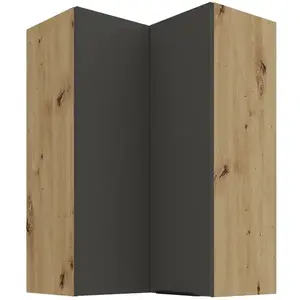 Kuchyňská skříňka Aria-GR/AR anti fingerprint 60x60 GN-90 2F (90°) obraz
