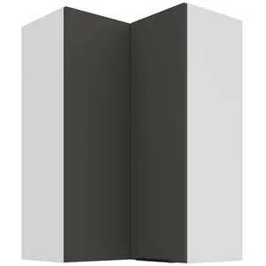 Kuchyňská skříňka Aria-GR/WH anti fingerprint 60x60 GN-90 2F (90°) obraz