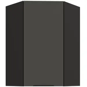 Kuchyňská skříňka Aria-GR/BL anti fingerprint 60x60 GN-90 1F (45°) obraz