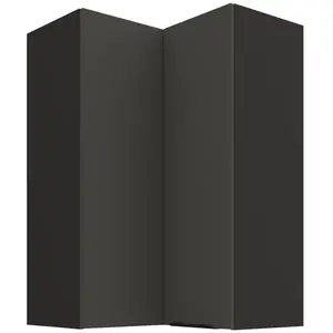 Kuchyňská skříňka Aria-GR/BL anti fingerprint 60x60 GN-90 2F (90°) obraz