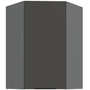 Kuchyňská skříňka Aria-GR/ANT anti fingerprint 60x60 GN-90 1F (45°) obraz