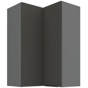 Kuchyňská skříňka Aria-GR/ANT anti fingerprint 60x60 GN-90 2F (90°) obraz