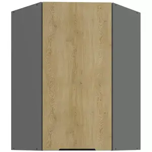 Kuchyňská skříňka Cremona ANT 60x60 GN-90 1F (45°) obraz