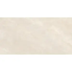 Dlažba Brazilian Crema Mat 60/120 obraz