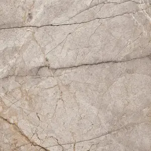 Dlažba Morela Natural Poler 60/60 obraz