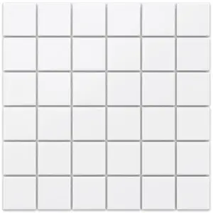 Mozaika Square White Mat 30/30 obraz