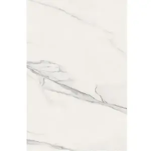 Nástěnný Panel SPC Carrara White 60x120cm 4mm obraz