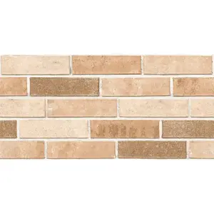 Brooklyn Beige 30/60 obraz