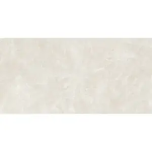 Florim Ivory Satin Mat 60/120 obraz